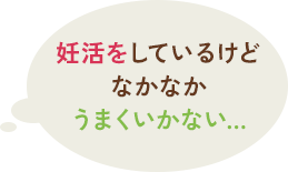 妊活をしているけどなかなかうまくいかない…